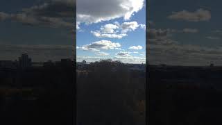 2016-11-4 Boston Skyline from Mount Auburn Cemetery - IMG 0446