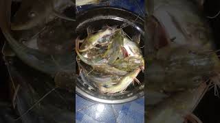 Hasil Akhir Mancing Hari Ini #mancingbaung