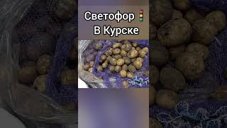 Светофор в Курской области #дляfamily