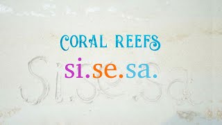 Si.Se.Sa. Coral Reefs Collection