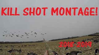 2018-2019 kill shot montage