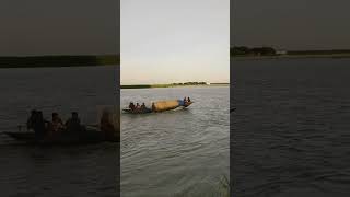 পদ্মার বুকে ছুটে চলছে নৌকা।  #shortsvideo #nature #shariatpur #bangladesh #river #boat #viral