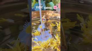 Krishna status | snan seva #summervibes  #gopal #krishna #krishnastatus#shorts #ytshorts#laddugopal