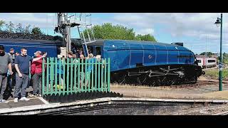 60007, Sir Nigel Gresley leaving Shrewsbury today.