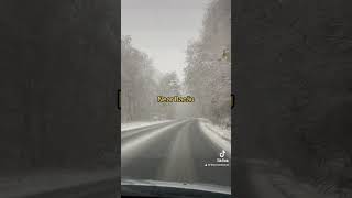 Snowing near Bacău Romania 18-Nov-2023