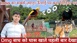 Nainital Zoo || Nainital ka chidiya ghr || Nainital Vlog