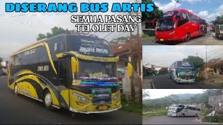 MELEDAKK❗KEDATANGAN BUS ARTIS KE PAMIJAHAN FULL MENYALAKAN TELOLET VIRAL DAV TERBARU