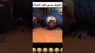 هههههههههههه الخر الخبار /اليمن/السعوديه/الا البيت