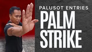 8.2 Palm Strike | Filipino Martial Arts  Palusot Entries