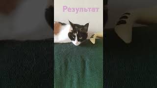 неудачный дубль-результаты. 😉