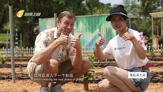 150） 《潮起海之南·品味》 云上牛岭慢时光 Hidden Hainan: Hainan Television's weekly culture/travel programme