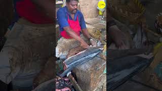 KASIMEDU SPEED SELVAM FISH CUTTING VIDEO \ cutting focus #kasimedu #kasimeduselvam #bigfish