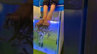 Shiv fish spa but not able to and his reaction funny #shorts #youtubeshorts