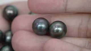 16pcs "Mid High Luster" Peacock 10mm - RSR TOP/AAA Quality Tahitian Pearl Auction LOT23 WP103