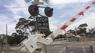 108CAM's Teardrop Bell Adventures Episode 2: Champion Road, Newport With Level Crossing Fan