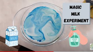 Magic Milk Experiment – Science Experiment