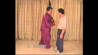 CHEN TAIJI YONGFA