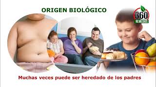 Cuales Son Las Causas De La Obesidad