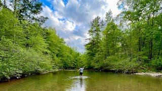 RED LICK TRAILS /RAVEN