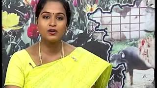 Pon Vilaiyum Bhoomi 21/05/2014