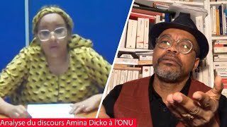 Franklin nyamsi: les objectifs cachés d’un discours bien préparé par la FrancAfrique