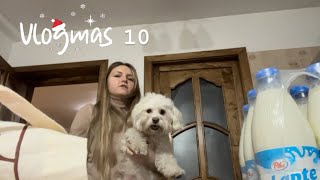 Vlogmas 10- Mâncare pentru Toy | Haul cumpărături alimentare