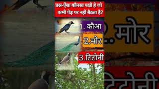 🤔ये पक्षी 🦉🦚🦩🕊🌴❌️पेड़ पर कभी नही बैठता है?#shorts #youtubeshorts #viral #short #wmquiz #shortvideo