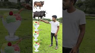 7 August 2024, icecream to, jarce cow,veis,bokriy,dog, tiger 🐯 and magic short vfx video,, viral,,