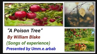 "A Poison Tree": poem by William Blake Critical summary and Line by Line Analysis in Urdu~Main idea