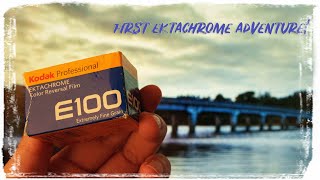 Kodak's Ektachrome Surprise: A Canon 1V Journey in Beautiful Blessington! Canon EOS 1V