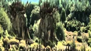 lord of the rings music video take a walk