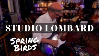 Studio Lombard Sessions: Spring Birds