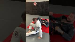 Knee lever sweep when opponent counters arm drag #jiujitsu #bjj