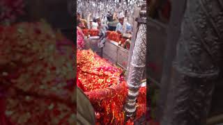 Mira datar dargah Urs stetus|whatsapp qawwali status|2024new qawwali|Famous qawwali|mira data