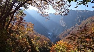 TRULY AMAZING JAPAN AUTUMN in Tanigawadake (谷川岳の紅葉)