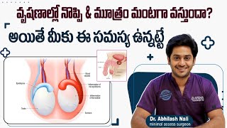 వృషణాల్లో నొప్పి & మూత్రంలో మంట || Epididymitis Symptoms and Treatment in Telugu || Dr Abhilash Nali