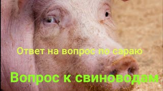 Вопрос к свиноводам. Ответ на вопрос о сарае.