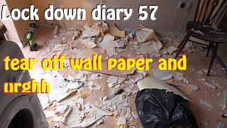 Lock down diary 57. lets strip the kitchen wall paper