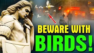 St. Michael: Michigan, Florida, & California, Nothing Can Stop It After 29th Sept. Beware With Birds