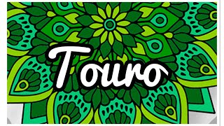 💚 TOURO ♉️ *leitura atemporal* WOW 🤩 QUE LEITURA MARAVILHOSA 🤩 | 💎💎💎