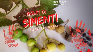 Storia Storia - Golpi di simenti (GOLPIZ NA CV)