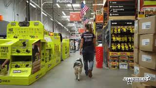 Mini Aussie Training I Mini Aussie Before & After I Board & Train I All-American K-9