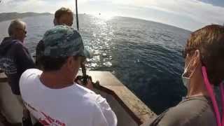 Mirage Sportfishing - July 29th 2014 - 150lb Black Sea Bass - Full Video