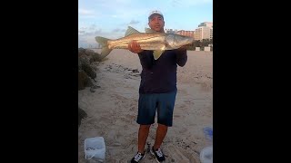 Fishing in Miami