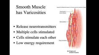 bio 4_Module 6_Ch10_Muscle part 8