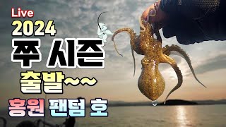 2024 쭈꾸미 시즌  스타뚜~~~