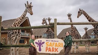 WEST MIDLANDS ZOO AND SAFARI TOUR 2024 🐂🐫🐯🦍🦁🦒🦓