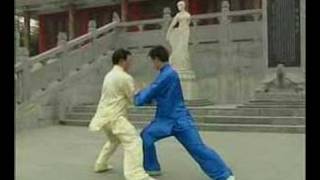 Taiji - Chen Style Pushhand (Zhang Dongwu)