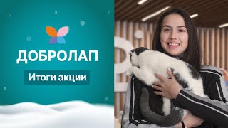 Итоги Благотворительной акции "Добролап" от компании Четыре Лапы  ❤️