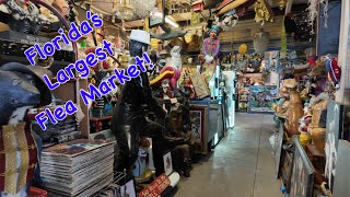 Mount Dora, Florida - Flea Market & Downtown